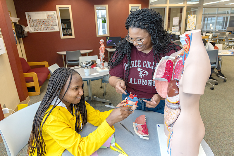 tutor demonstrating anatomical model to student